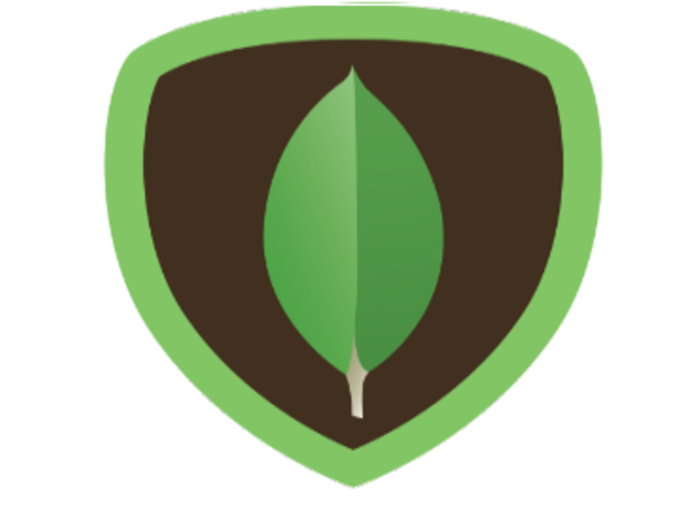 MongoDB skill